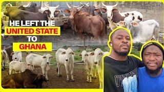 Livestock Farming in Ghana:He Abandoned America To Become Livestock Farmer in Ghana