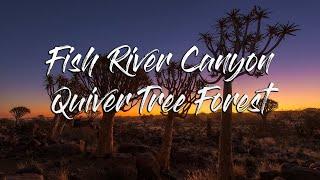 Discovering Namibia: Fish River Canyon & Quiver Trees