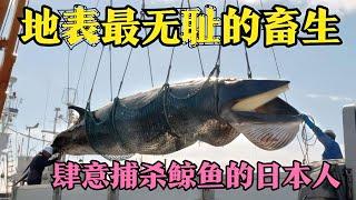 地表最無恥的日本人，肆意捕殺鯨魚，屠宰鯨魚，場面極為殘忍！ #科學實驗 #科學試驗 #格蘭特 #亞當 #傑米