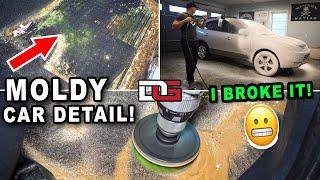 MIND-BLOWING Detailing Transformation! | The Detail Geek