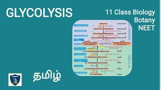 Glycolysis in Tamil | Respiration | Botany I Class 11 | NEET | TNSCERT