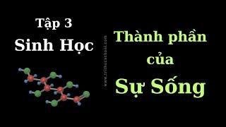 Phân Tử Sinh Học - Sinh Học - tập 3 | Tri thức nhân loại