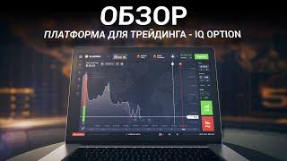 Обзор платформы IQ Option. Бинарные опционы