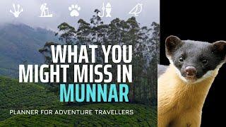 What Do Many Miss In Munnar?  I Trekking, Birding, Wildlife, Angling & More!