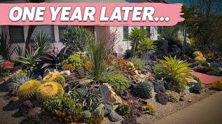 Talmadge Succulent Garden Installation | Annual Maintenance