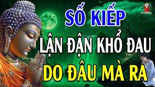 Số Kiếp Lận Đận Khổ Đau Do Đâu Mà Ra, Nghe Xong Tỉnh Ngộ Đời Hết Khổ - Lời Phật Dạy Thấm Vô Cùng