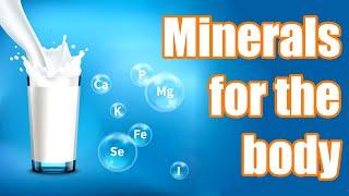 The Essential Role of Minerals in Human Health