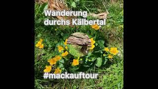 #mackauftour Wanderung durchs Kälbertal