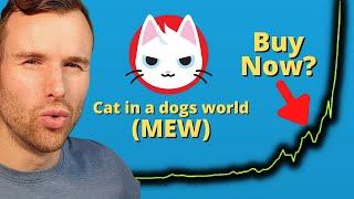 Why cat in a dogs world is up  Mew Crypto Token Analysis