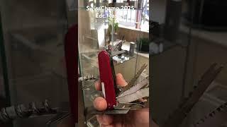 Swiss champ 2025 edc.master