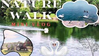 Tranquil Mini Walk in Nature | Relaxing Nature Vlog | Harvesting in Germany | Swans on the lake