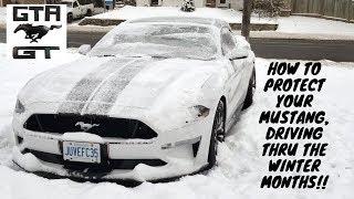 Should you drive your Mustang GT in the Winter Months?/ How to protect your Mustang in the winter!!