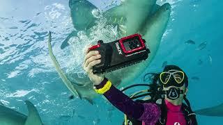 SportDiver Ultra Underwater Smartphone Housing Overview