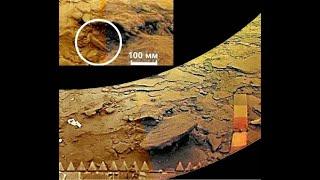 SECRETS OF THE  PLANET VENUS