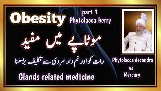 Obesity (motaapa) phytolacca berry p1 |  homeopathic medicine phytolacca decandra vs Mercury