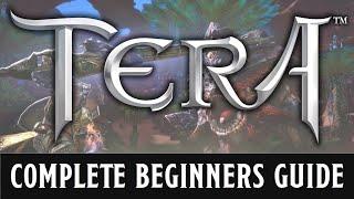 A beginners guide to TERA