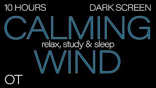 CALMING WIND Sounds for Sleeping| Relaxing| Studying| BLACK SCREEN| Real Storm Sounds| SLEEP SOUNDS