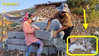 The Nomadic Life: Building a New Kennel for Guard Dogs of Nomadic Homes | Short Documentary