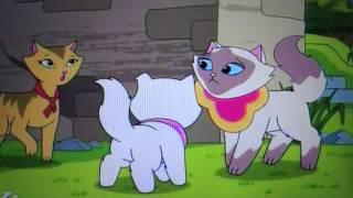 Sagwa the Chinese Siamese Cat- Spreading Rumors