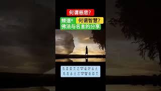 【 佛学学问 】 什么是慈悲？什么堪称智慧？| 阿弥陀佛 | 佛典故事 | 频道#佛法与名言的分享