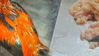 Chicken Mince  | Cat Food | Mandatory for Cat Health | Tutorial Mince Chicken  | New Cat Parents 