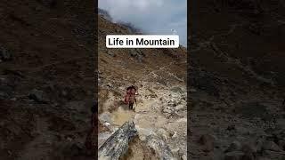 Life in Mountain! It is Only About Hard Working in the  Midst Of Gentle Nature 