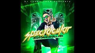 SPECTACULAR 2024 DANCEHALL MIX