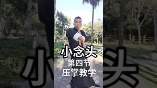 咏春拳小念头教学第4节(压掌)示范教学（Wing Chun XiaoNianTou teaching）