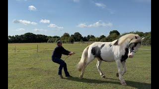 Beautiful Troubled Horse Saves a Man In Need! Amazing Story!