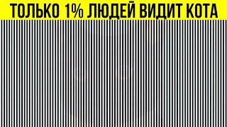 НОВЫЕ ОПТИЧЕСКИЕ ИЛЛЮЗИИ, КОТОРЫЕ ВЫЗЫВАЮТ ГАЛЛЮЦИНАЦИИ
