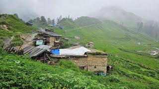 Most Peaceful & Relaxing Natural Nepali Mountain Village Life in Nepal During the Rainy Season