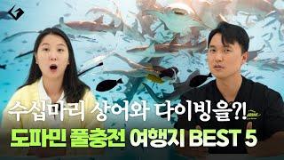 죽기전에 꼭 가봐야할 다이빙 성지 TOP5 여행지 포인트 다 알려 드립니다