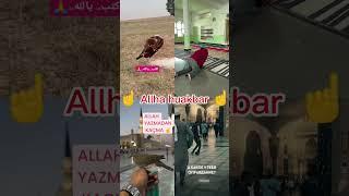 Makkha Madina Allha #viralvideo #podcasts #highlights #dhuruvrathee #entertenment #comedy #instagram