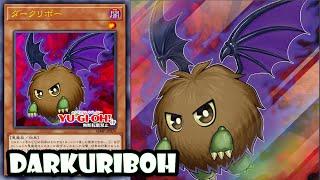 Yu-Gi-Oh! Darkuriboh (New VJUMP REVEALED)