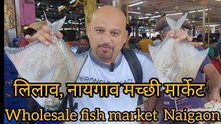 नायगाव, मच्छीचा लिलाव होलसेल फिश मार्केट | Naigaon fish market latest video |  Vlog no. 35