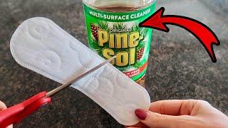 Put $1 Pine Sol on your Panty Liner  Miracle & Ingenious Trick! (WATCH THIS)