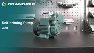 GRANDFAR WZB Series Classic Self-priming Pump Display