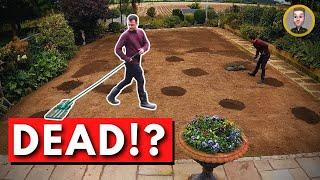 How to Renovate Your Ugly Lawn - Step by Step