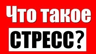 Стресс. Влияние стресса на организм