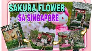 FLOWER DOME SAKURA FEAUTURING HELLO KITY, GARDENS BY THE BAY SINGAPORE | Yselle Gagarin