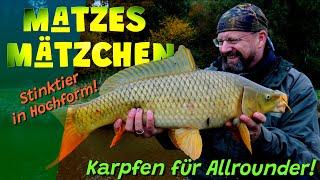 Matze's Antics - Carp for All-Rounders