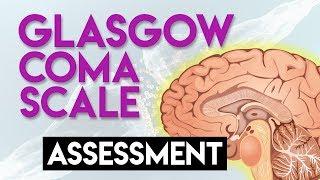Glasgow Coma Scale (GCS) Assessment