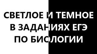 СВЕТЛОЕ И ТЕМНОЕ В ЗАДАНИЯХ ЕГЭ ПО БИОЛОГИИ - РАЗБОР ПРАКТИКИ