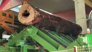 Pezzolato - Cutting and splitting plant TLA 22 and TB 1200 for firewood production