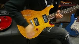 PRS SE Paul' Guitar tonal variation