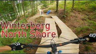 Bikepark Winterberg North Shore | MTB Cobra