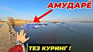 ДИККАТ! АМУДАРЁ НИМАЛАР БУЛЯБДИ!БУТУН УЗБЕКИСТАН КУРСИН! 21 ноября 2024 г.