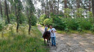 funny stories for kids with Hasenat and dad