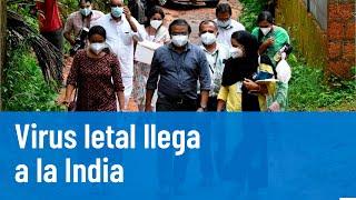 Alerta en India: Virus de Nipah su origen y sus síntomas