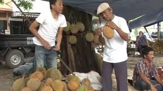 STUDIO 42 UHF I GEDE AMAT DUREN NYA DAUS & WAK PET HIGH